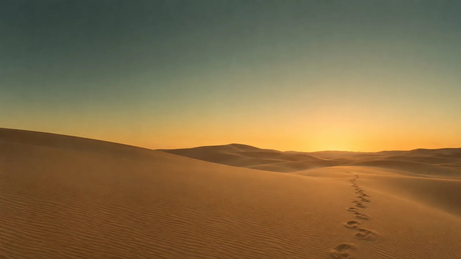 A calm desert horizon at dusk